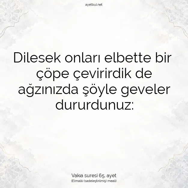 Ayetbul | Kuran Mealleri | Quran | Vakıa suresi 65. ayet