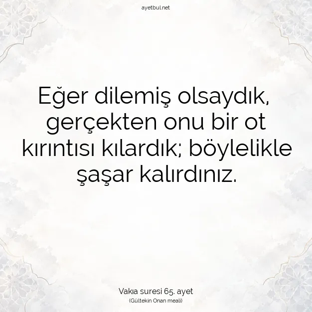 Ayetbul | Kuran Mealleri | Quran | Vakıa suresi 65. ayet