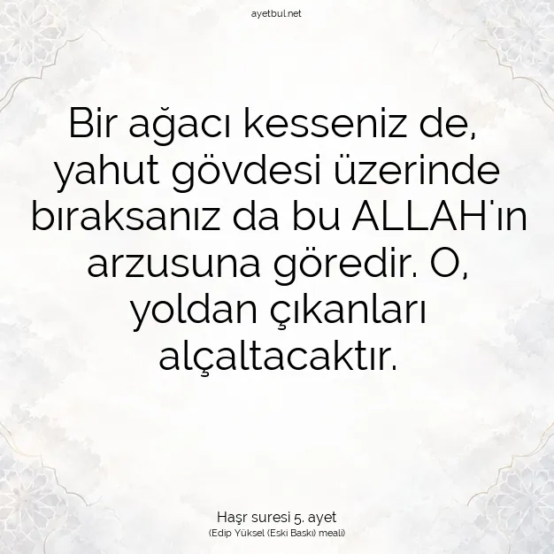 Ayetbul | Kuran Mealleri | Quran | Haşr suresi 5. ayet