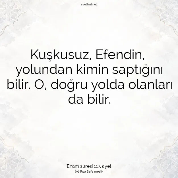 Ayetbul | Kuran Mealleri | Quran | Enam suresi 117. ayet