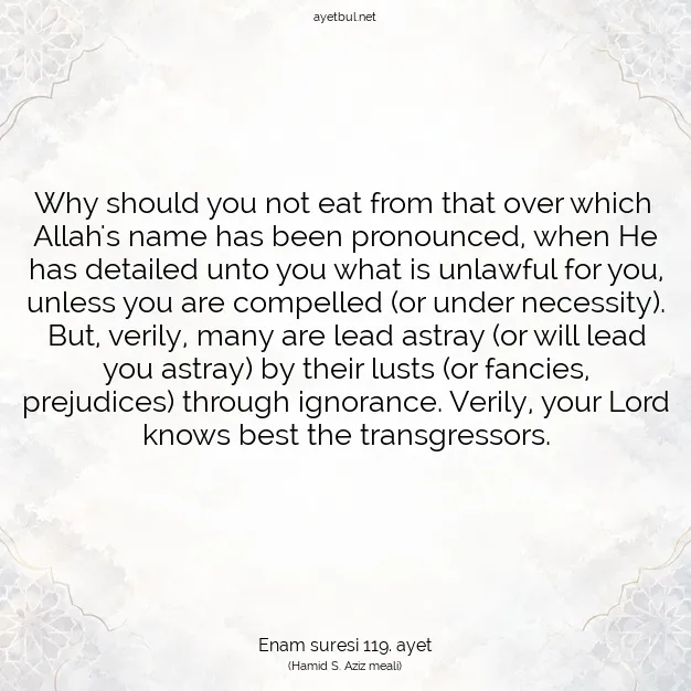 Ayetbul | Kuran Mealleri | Quran | Enam suresi 119. ayet