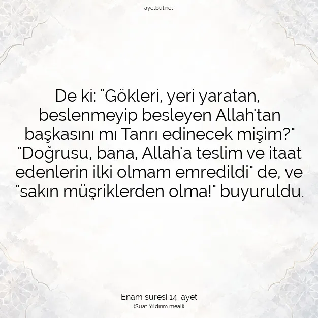 Ayetbul | Kuran Mealleri | Quran | Enam suresi 14. ayet
