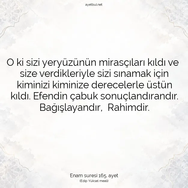 Ayetbul | Kuran Mealleri | Quran | Enam suresi 165. ayet