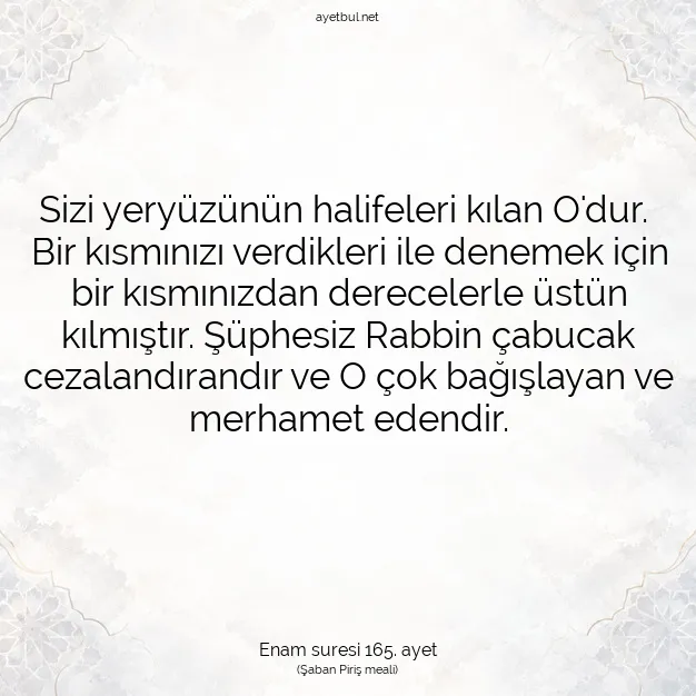 Ayetbul | Kuran Mealleri | Quran | Enam suresi 165. ayet