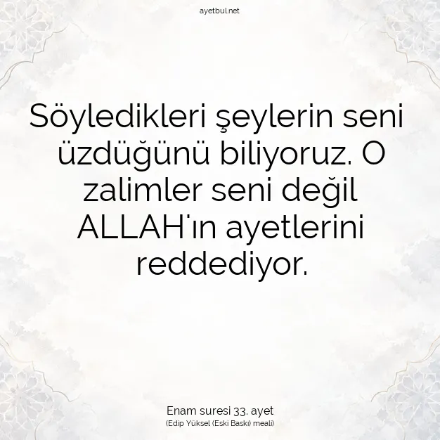Ayetbul | Kuran Mealleri | Quran | Enam suresi 33. ayet
