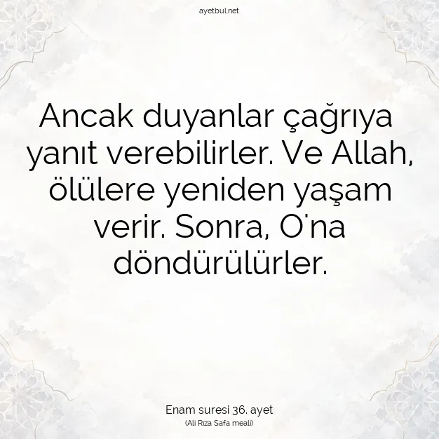 Ayetbul | Kuran Mealleri | Quran | Enam suresi 36. ayet