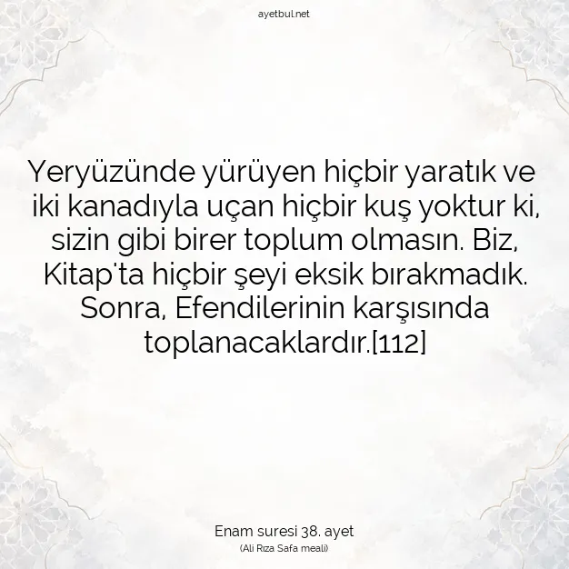 Ayetbul | Kuran Mealleri | Quran | Enam suresi 38. ayet