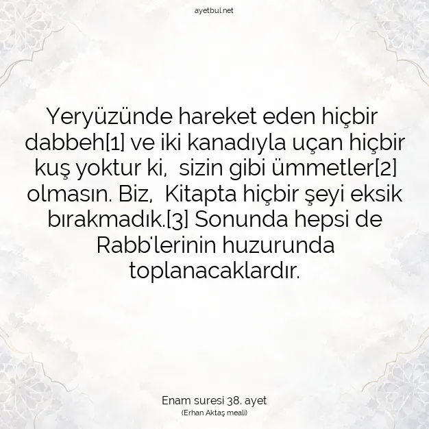 Ayetbul | Kuran Mealleri | Quran | Enam suresi 38. ayet