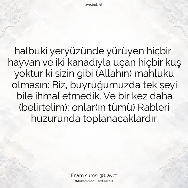 Ayetbul | Kuran Mealleri | Quran | Enam suresi 38. ayet