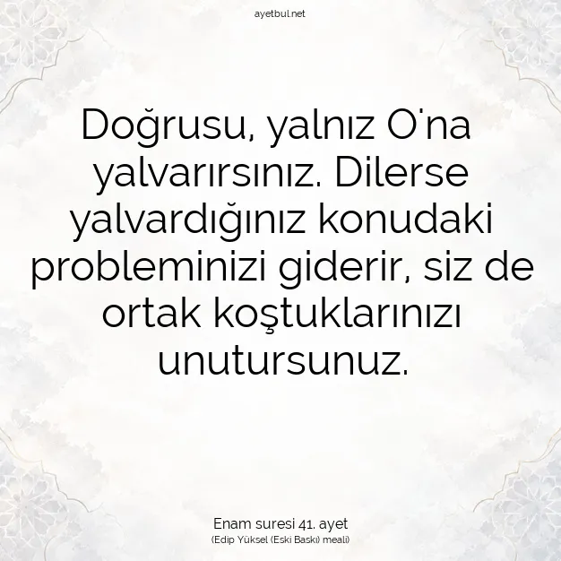 Ayetbul | Kuran Mealleri | Quran | Enam suresi 41. ayet