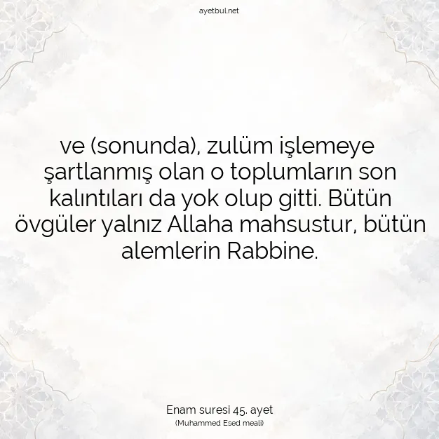 Ayetbul | Kuran Mealleri | Quran | Enam suresi 45. ayet