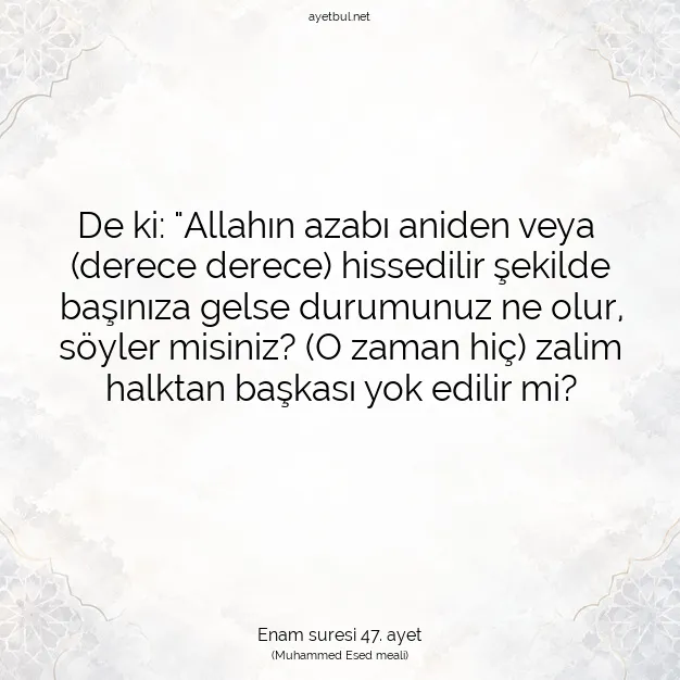 Ayetbul | Kuran Mealleri | Quran | Enam suresi 47. ayet