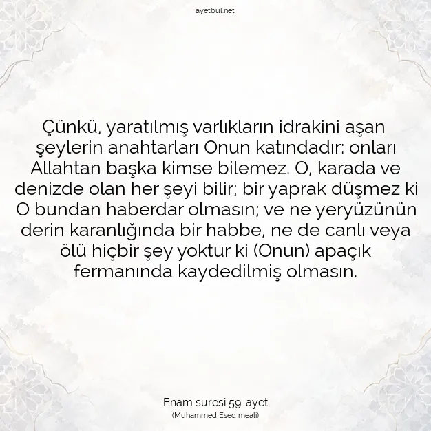 Ayetbul | Kuran Mealleri | Quran | Enam suresi 59. ayet