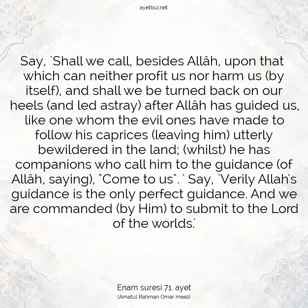 Ayetbul | Kuran Mealleri | Quran | Enam suresi 71. ayet