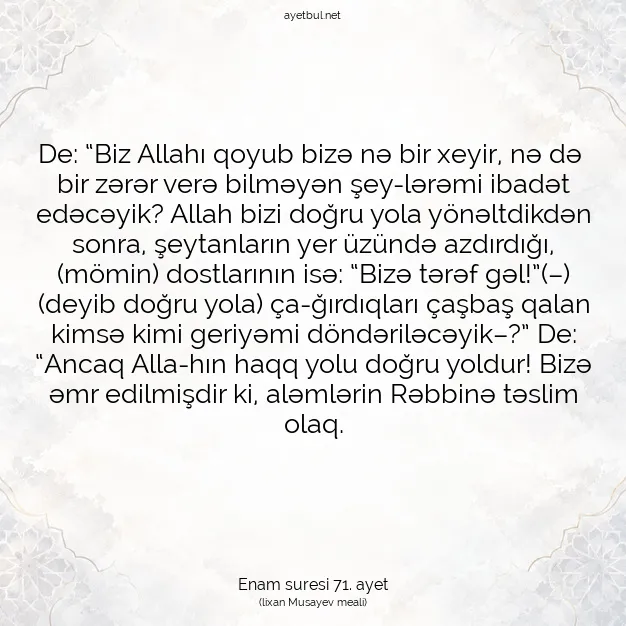 Ayetbul | Kuran Mealleri | Quran | Enam suresi 71. ayet