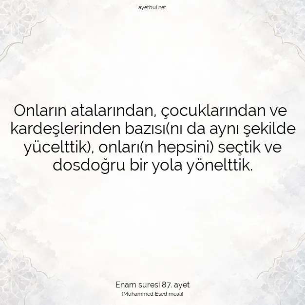 Ayetbul | Kuran Mealleri | Quran | Enam suresi 87. ayet