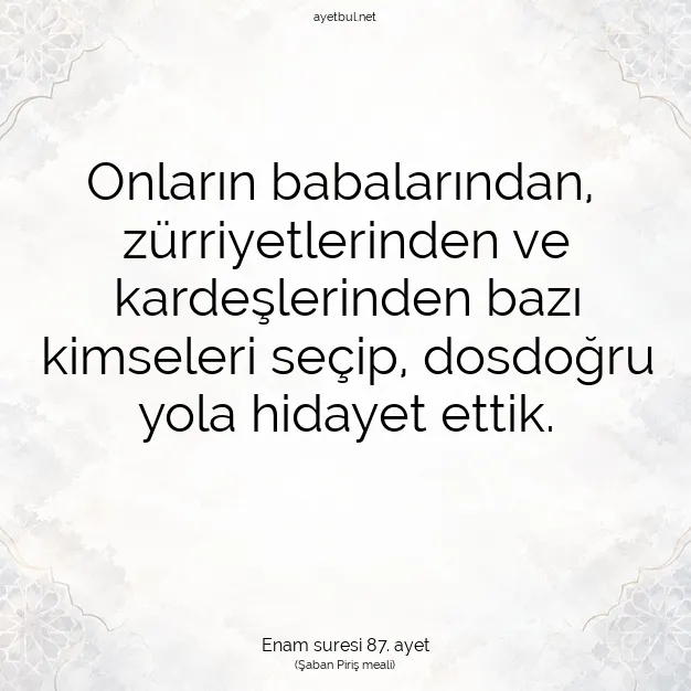 Ayetbul | Kuran Mealleri | Quran | Enam suresi 87. ayet