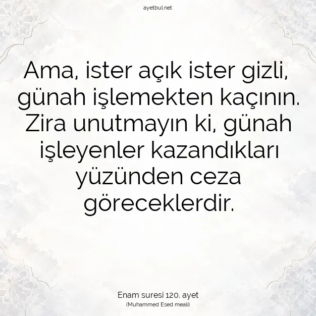 Ayetbul | Kuran Mealleri | Quran | Enam suresi 120. ayet