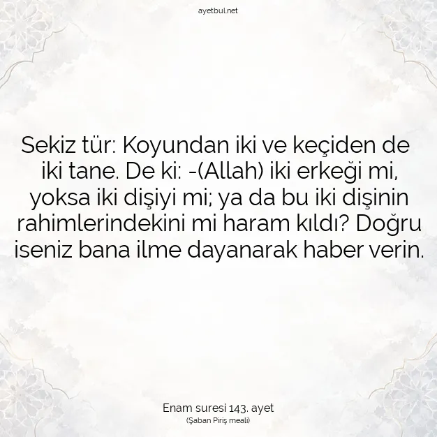 Ayetbul | Kuran Mealleri | Quran | Enam suresi 143. ayet