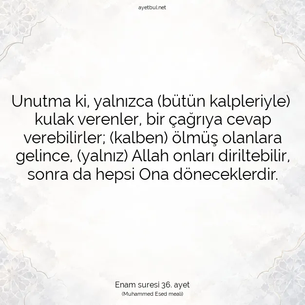 Ayetbul | Kuran Mealleri | Quran | Enam suresi 36. ayet