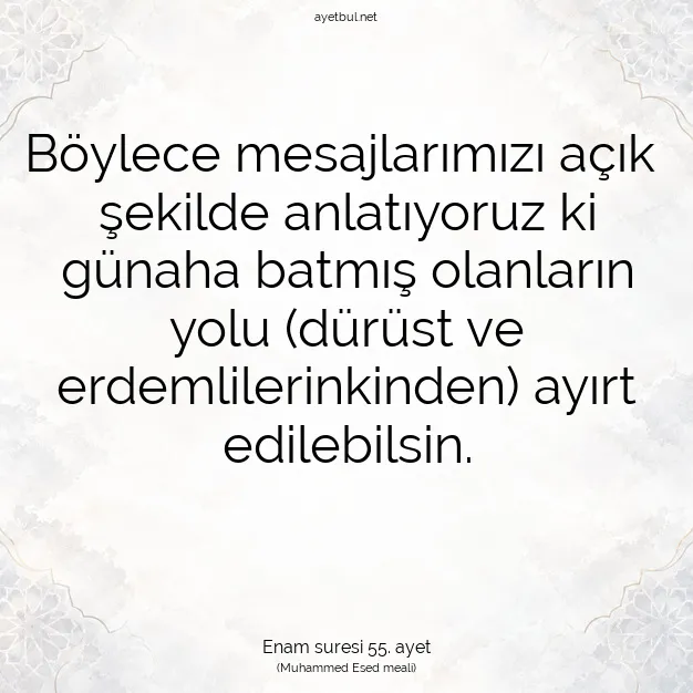 Ayetbul | Kuran Mealleri | Quran | Enam suresi 55. ayet