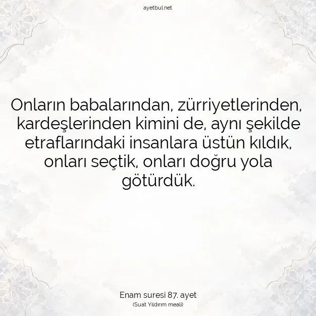 Ayetbul | Kuran Mealleri | Quran | Enam suresi 87. ayet