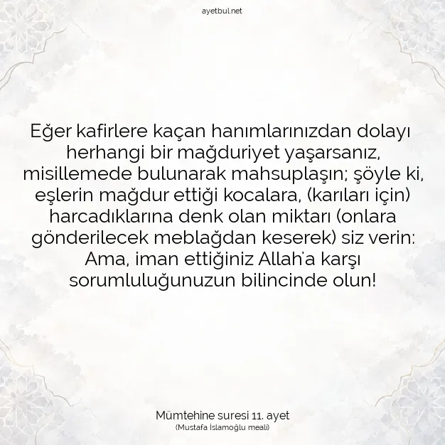 Ayetbul | Kuran Mealleri | Quran | Mümtehine suresi 11. ayet