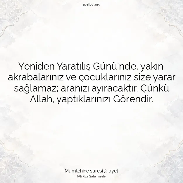 Ayetbul | Kuran Mealleri | Quran | Mümtehine suresi 3. ayet