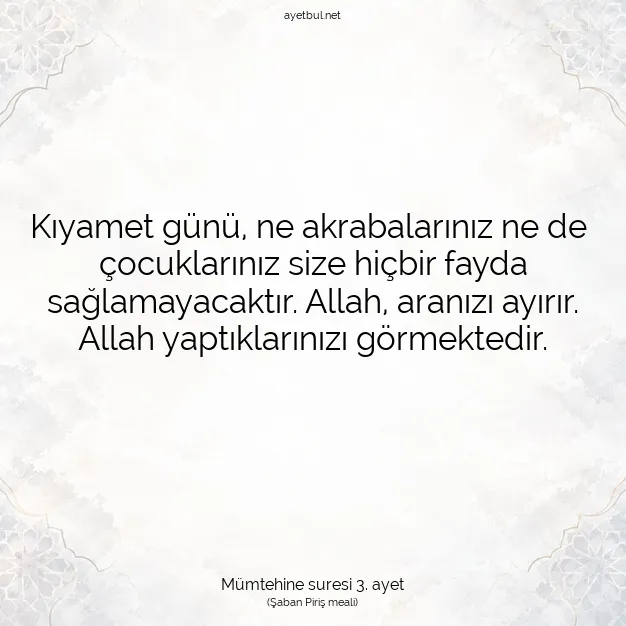 Ayetbul | Kuran Mealleri | Quran | Mümtehine suresi 3. ayet