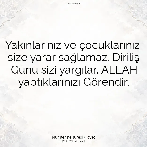 Ayetbul | Kuran Mealleri | Quran | Mümtehine suresi 3. ayet