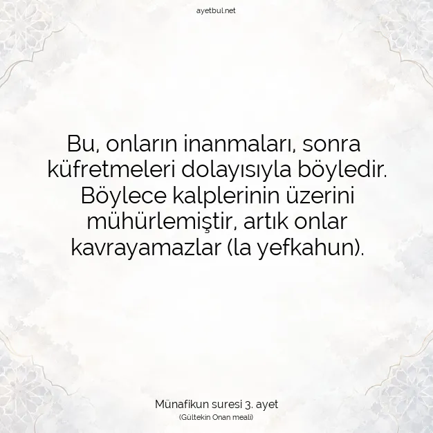 Ayetbul | Kuran Mealleri | Quran | Münafikun suresi 3. ayet