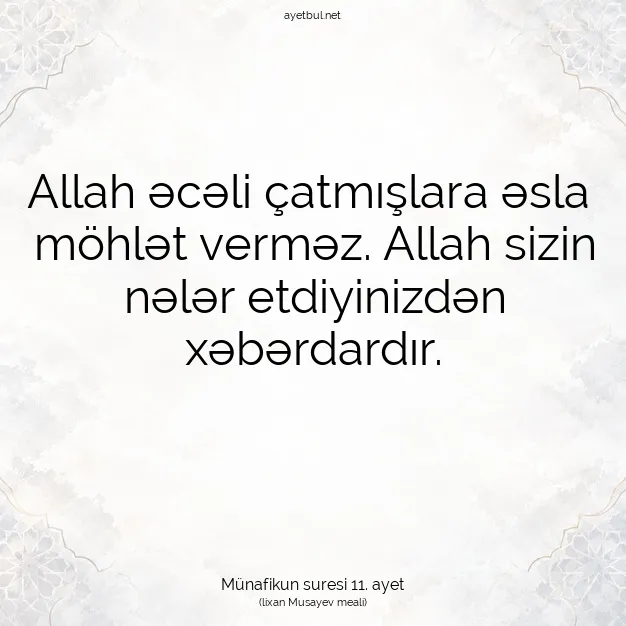 Ayetbul | Kuran Mealleri | Quran | Münafikun suresi 11. ayet