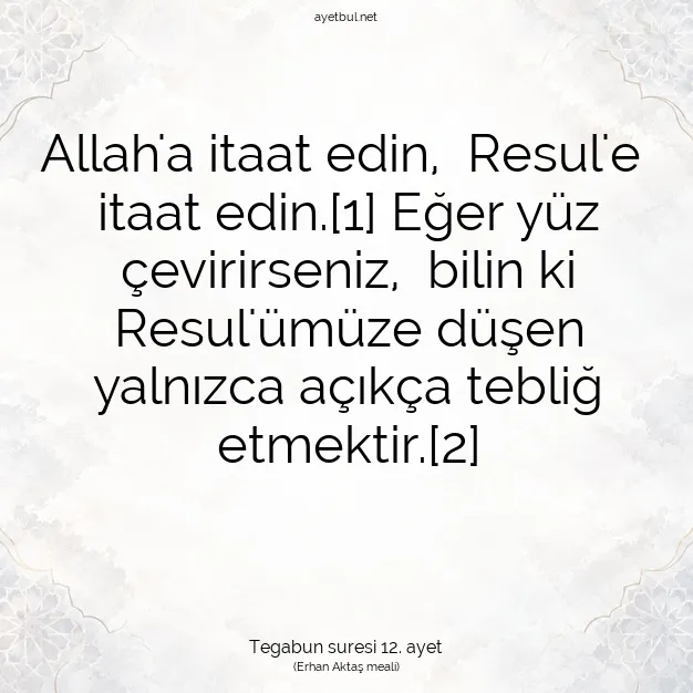 Ayetbul | Kuran Mealleri | Quran | Tegabun suresi 12. ayet