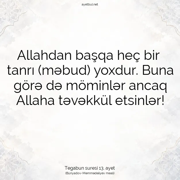 Ayetbul | Kuran Mealleri | Quran | Tegabun suresi 13. ayet