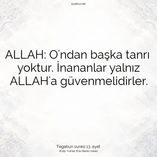 Ayetbul | Kuran Mealleri | Quran | Tegabun suresi 13. ayet