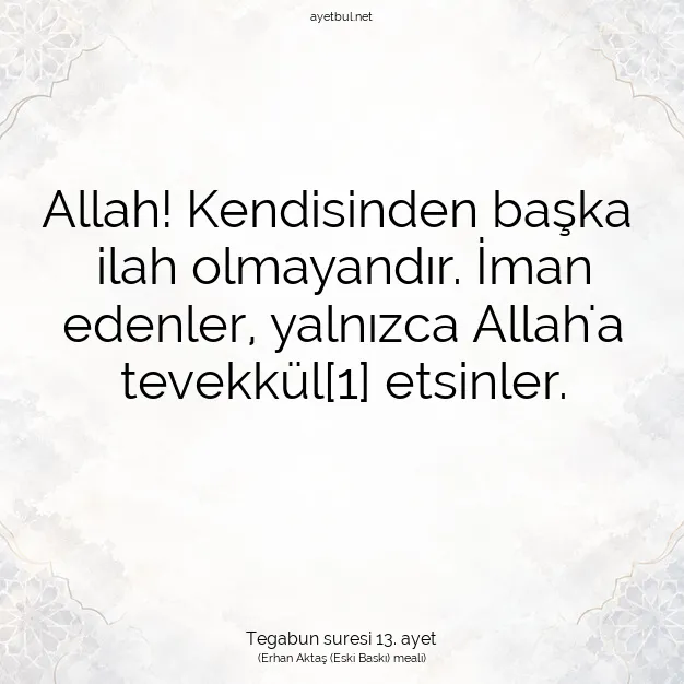 Ayetbul | Kuran Mealleri | Quran | Tegabun suresi 13. ayet