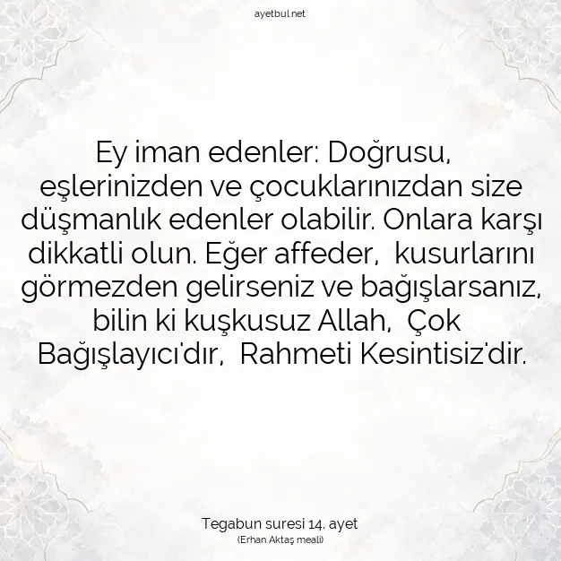 Ayetbul | Kuran Mealleri | Quran | Tegabun suresi 14. ayet