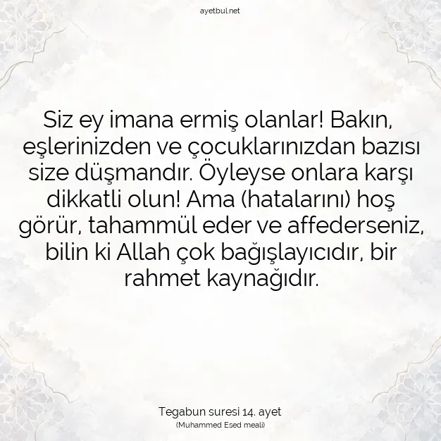 Ayetbul | Kuran Mealleri | Quran | Tegabun suresi 14. ayet