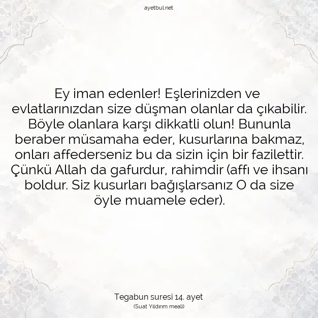 Ayetbul | Kuran Mealleri | Quran | Tegabun suresi 14. ayet