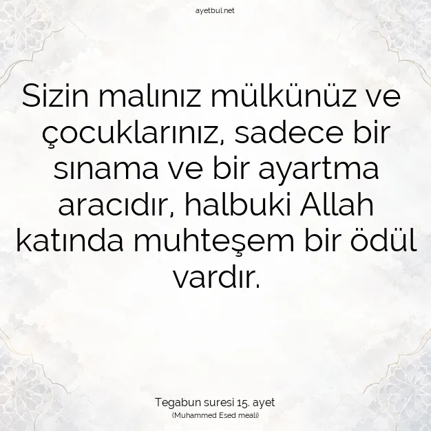 Ayetbul | Kuran Mealleri | Quran | Tegabun suresi 15. ayet