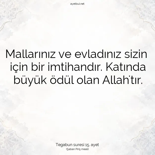 Ayetbul | Kuran Mealleri | Quran | Tegabun suresi 15. ayet