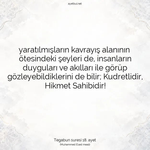 Ayetbul | Kuran Mealleri | Quran | Tegabun suresi 18. ayet