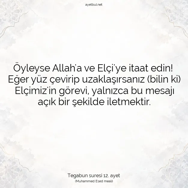 Ayetbul | Kuran Mealleri | Quran | Tegabun suresi 12. ayet