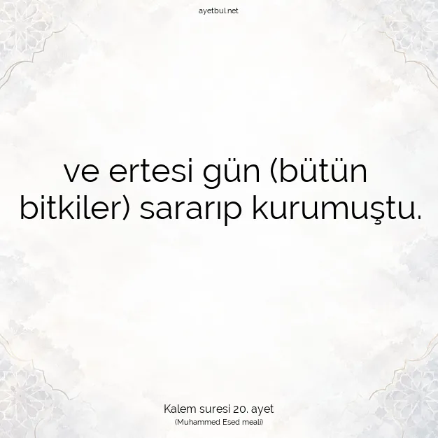 Ayetbul | Kuran Mealleri | Quran | Kalem suresi 20. ayet
