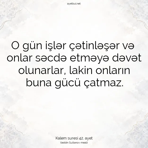 Ayetbul | Kuran Mealleri | Quran | Kalem suresi 42. ayet