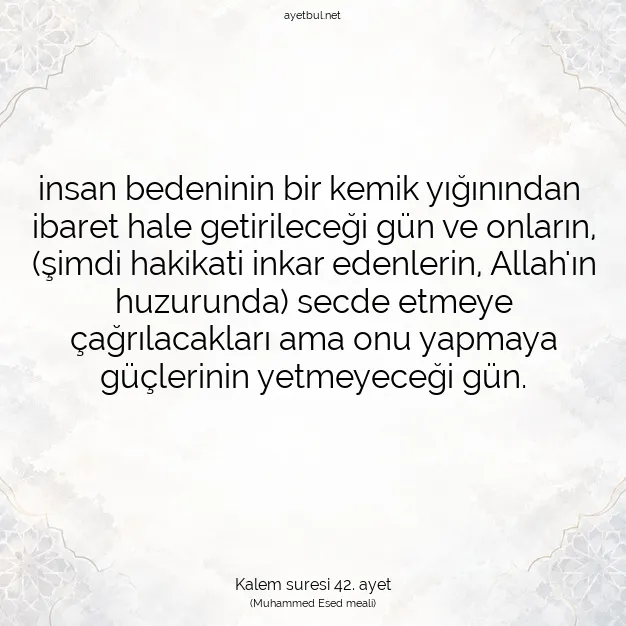 Ayetbul | Kuran Mealleri | Quran | Kalem suresi 42. ayet