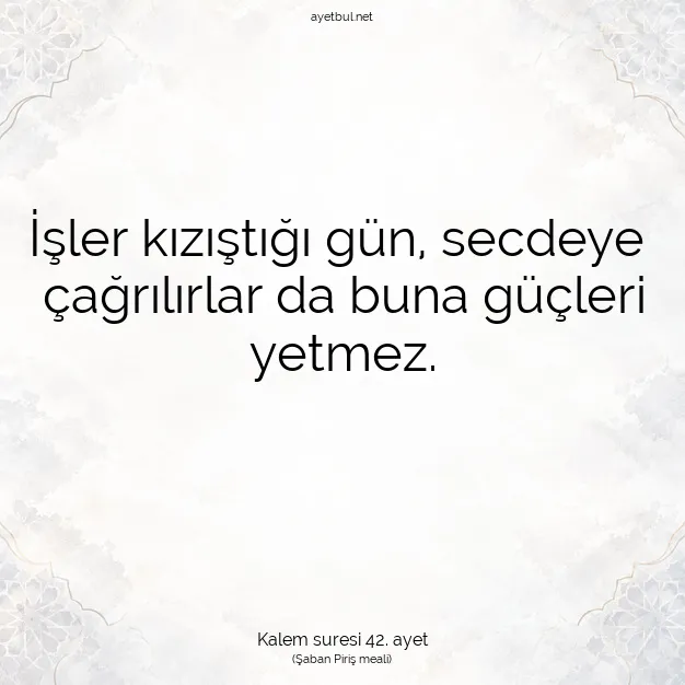 Ayetbul | Kuran Mealleri | Quran | Kalem suresi 42. ayet