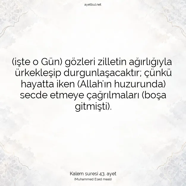 Ayetbul | Kuran Mealleri | Quran | Kalem suresi 43. ayet