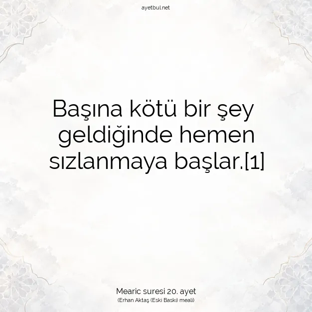Ayetbul | Kuran Mealleri | Quran | Mearic suresi 20. ayet