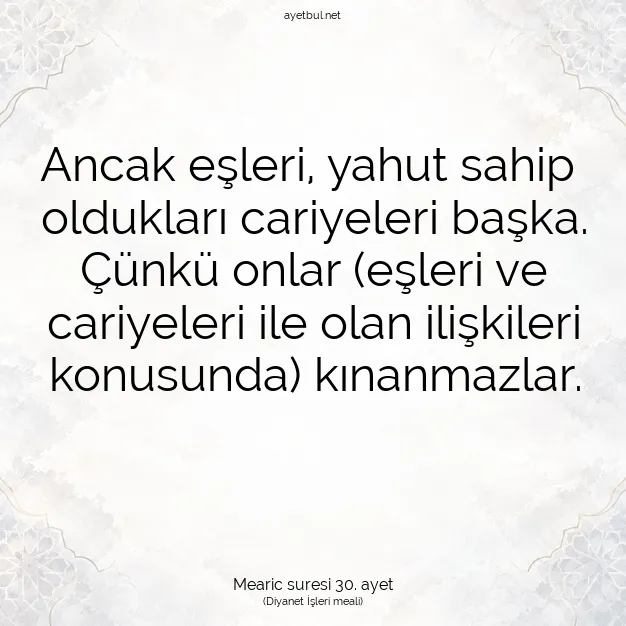 Ayetbul | Kuran Mealleri | Quran | Mearic suresi 30. ayet
